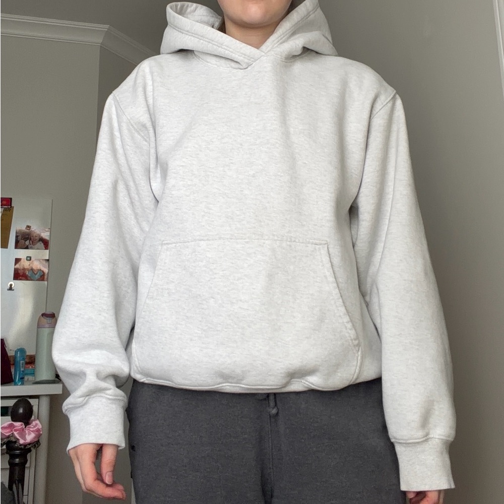 Aritzia perfect hoodie